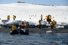 09A Penguins On Shore As We Get Ready To Disembark From Zodiac At Aitcho Barrientos Island In South Shetland Islands On Quark Expeditions Antarctica Cruise.jpg